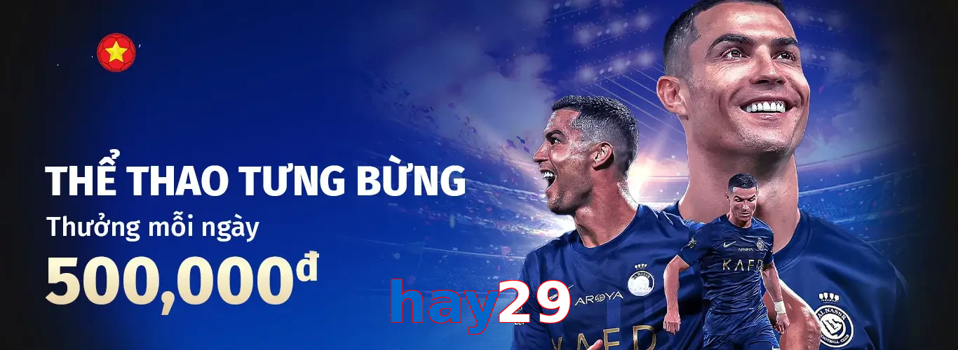 hay29